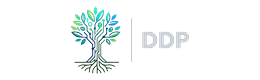 Dijital Demokrasi Platformu